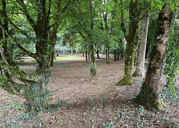 Prázdninový dům Maison Cosy Avec Piscine A Liffol-le-grand, 42 M² Liffol-le-Grand